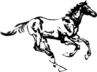horsehand-drawn-horse-vectors-set-689557