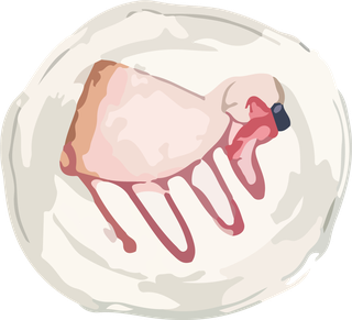 icecream-cake-sweets-matcha-vector-637831