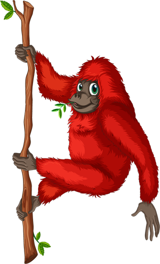 illustrationof-many-orangutans-hanging-on-a-vine-835782