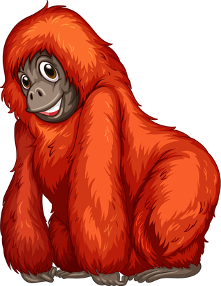 illustrationof-many-orangutans-hanging-on-a-vine-476320