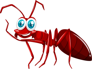 colorfulcartoon-style-insect-74949