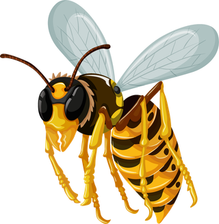 colorfulcartoon-style-insect-112356