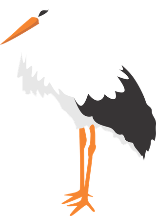 isolatedwhite-stork-in-different-poses-457946