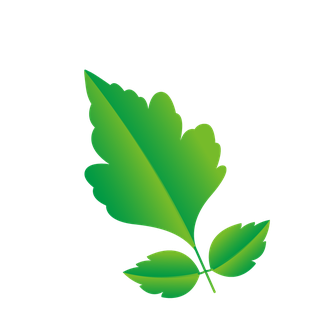 naturalleaf-and-ecology-leaf-with-green-gradient-354057