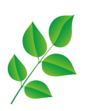 naturalleaf-and-ecology-leaf-with-green-gradient-374571