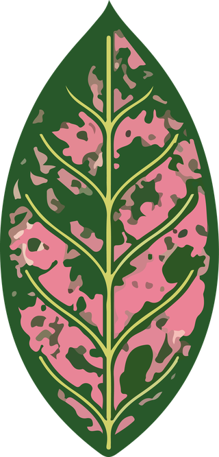 leafplants-bontanical-vector-cover-631523