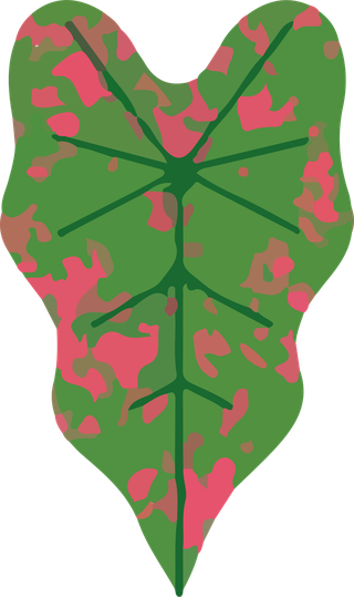 leafplants-bontanical-vector-cover-131469