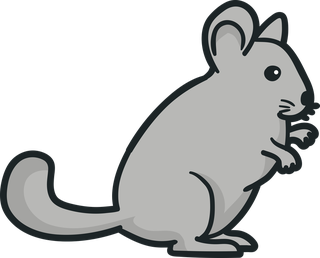 mousevecteezy-chinchilla-illustration-set-ready-for-download-922522