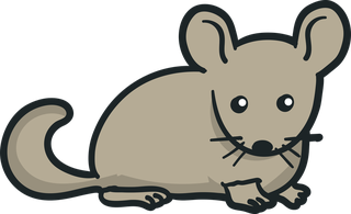 mousevecteezy-chinchilla-illustration-set-ready-for-download-452008