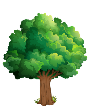 isolatedforest-trees-illustration-239385