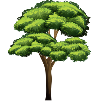 isolatedforest-trees-illustration-219240