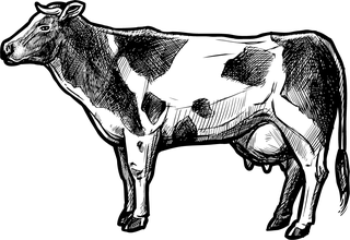 organicfarm-doodle-sketch-illustration-238890