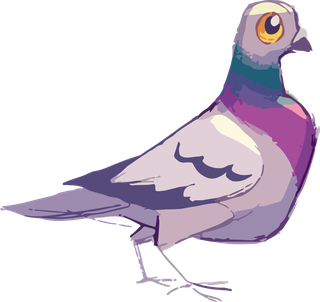 pigeonbeautiful-vector-vector-happy-305465