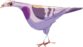 pigeonbeautiful-vector-vector-happy-159229