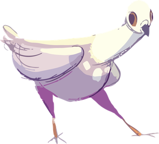 pigeonbeautiful-vector-vector-happy-770669