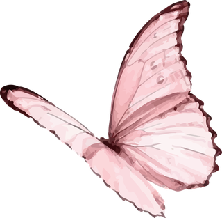 pinkbutterfly-wall-watercolor-art-vector-cover-635483