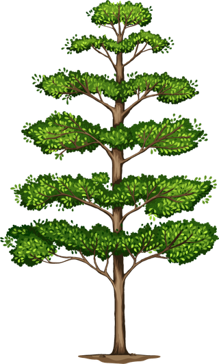 plantbotany-tree-nature-branch-terrestrial-plant-trunk-world-natural-landscape-711655