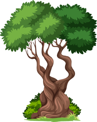 plantbotany-tree-nature-branch-terrestrial-plant-trunk-world-natural-landscape-714266