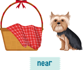 prepositionwordcard-with-dog-and-box-543204