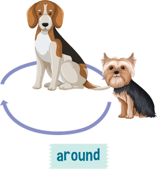 prepositionwordcard-with-dog-and-box-691856