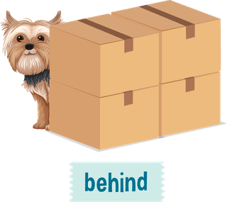 prepositionwordcard-with-dog-and-box-856319