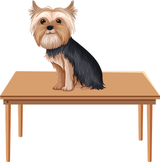 prepositionwordcard-with-dog-and-box-619011