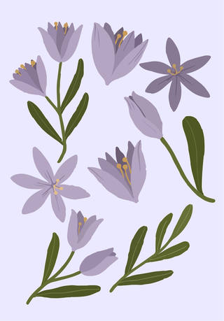 purpleflower-transparent-violet-crocus-purple-flower-floral-and-blossom-vector-cover-809357