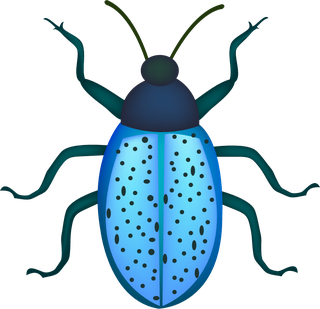 realisticlively-insects-illustration-942258
