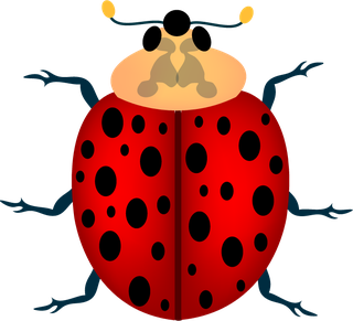 realisticlively-insects-illustration-954829