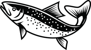salmonfree-rainbow-trout-vector-for-your-needed-978993