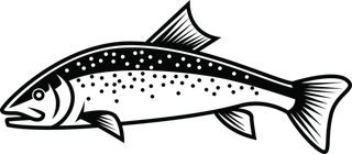 salmonfree-rainbow-trout-vector-for-your-needed-868873