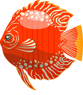seafish-marine-creatures-background-colorful-fishes-icons-decor-432444