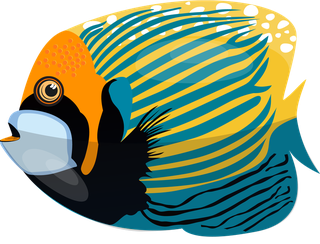 seafish-marine-creatures-background-colorful-fishes-icons-decor-728308