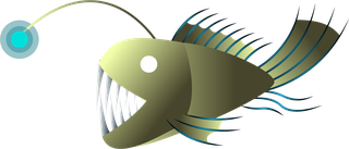 setof-angler-fish-that-you-can-use-for-your-project-751485