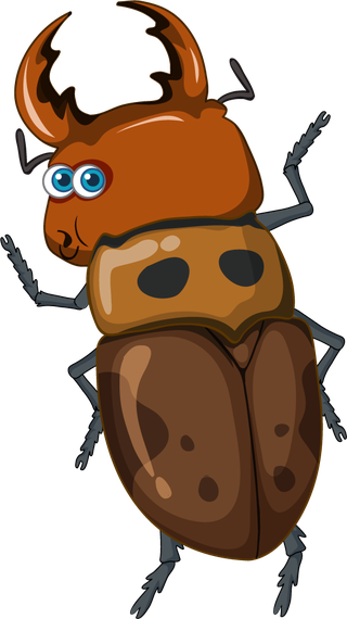 setof-different-insects-and-beetles-in-cartoon-style-782783