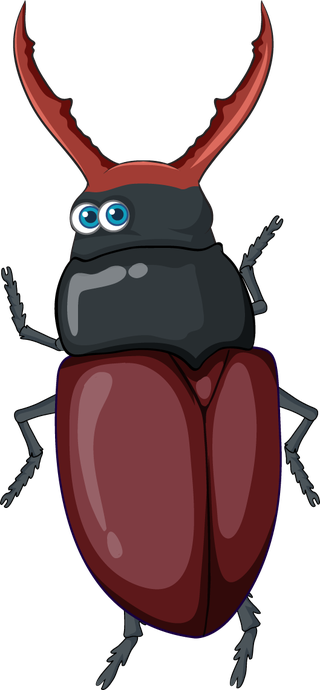 setof-different-insects-and-beetles-in-cartoon-style-528204