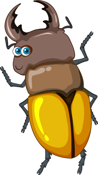 setof-different-insects-and-beetles-in-cartoon-style-482887