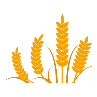simplegolden-wheat-illustrations-elements-723784