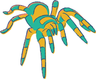 spiderillustrated-in-many-colors-with-sketchy-style-this-tarantula-vector-963034