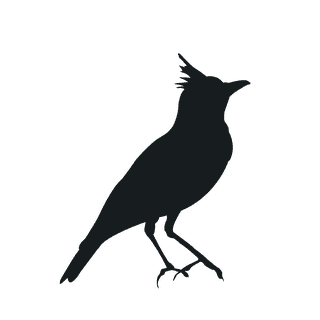 varioustype-bird-silhouette-clipart-817652