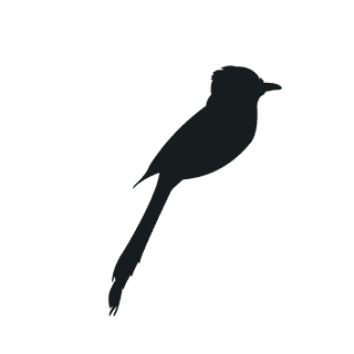varioustype-bird-silhouette-clipart-820235