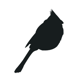 varioustype-bird-silhouette-clipart-826190