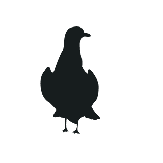 varioustype-bird-silhouette-clipart-831348