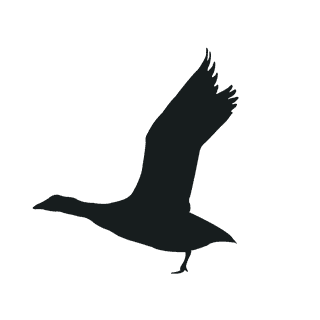 varioustype-bird-silhouette-clipart-841681