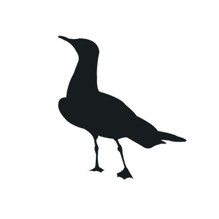 varioustype-bird-silhouette-clipart-866843