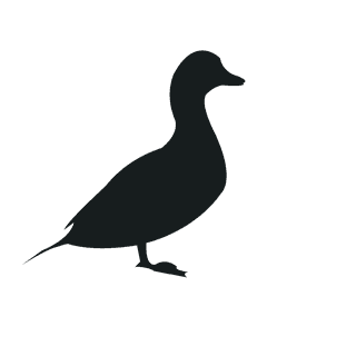 varioustype-bird-silhouette-clipart-872200