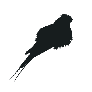 varioustype-bird-silhouette-clipart-877436