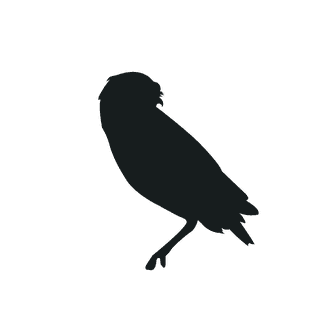 varioustype-bird-silhouette-clipart-882666