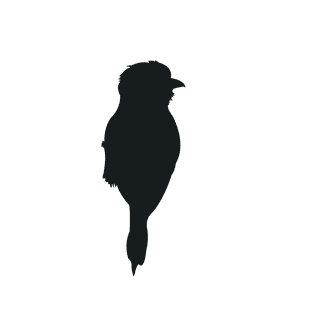 varioustype-bird-silhouette-clipart-887935