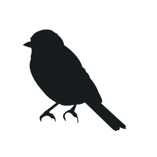varioustype-bird-silhouette-clipart-892558